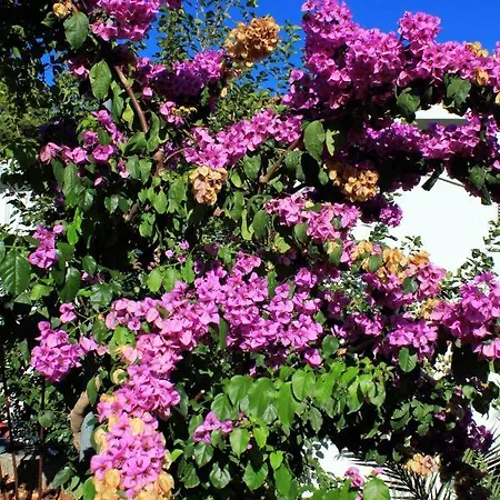 Гостевой дом And By The Sea Lumbarda, Korcula - 9272